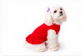     Small dog wearing red personalized ruffle dog dress
