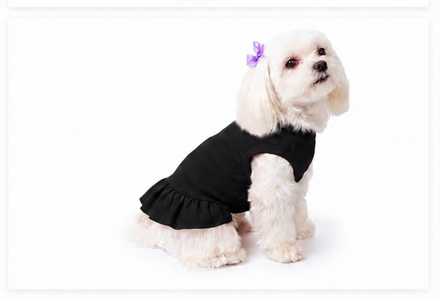     Small dog wearing black personalized ruffle dog dress